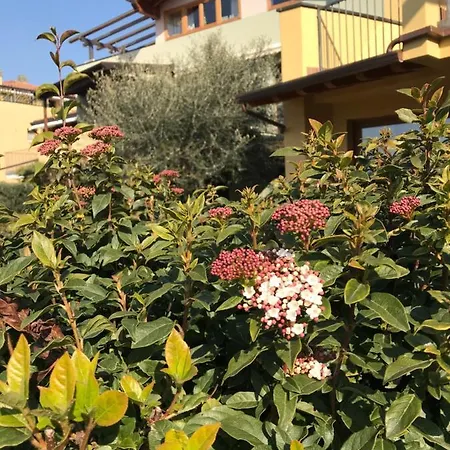 Apartment Gardalake Blueparadise